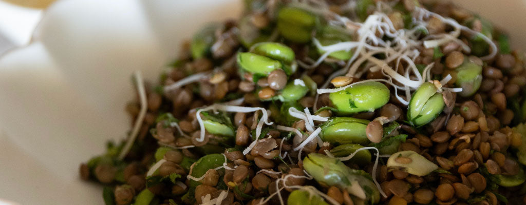 Ensalada Tibia de Lentejas con Habas